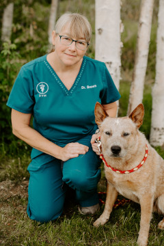 Dr. Dawn Brown